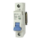 2 Amp, 1 Pole, 240V AC, 60V DC, Trip Curve: D, DIN Rail Mount-Miniature Circuit Breaker, UL1077