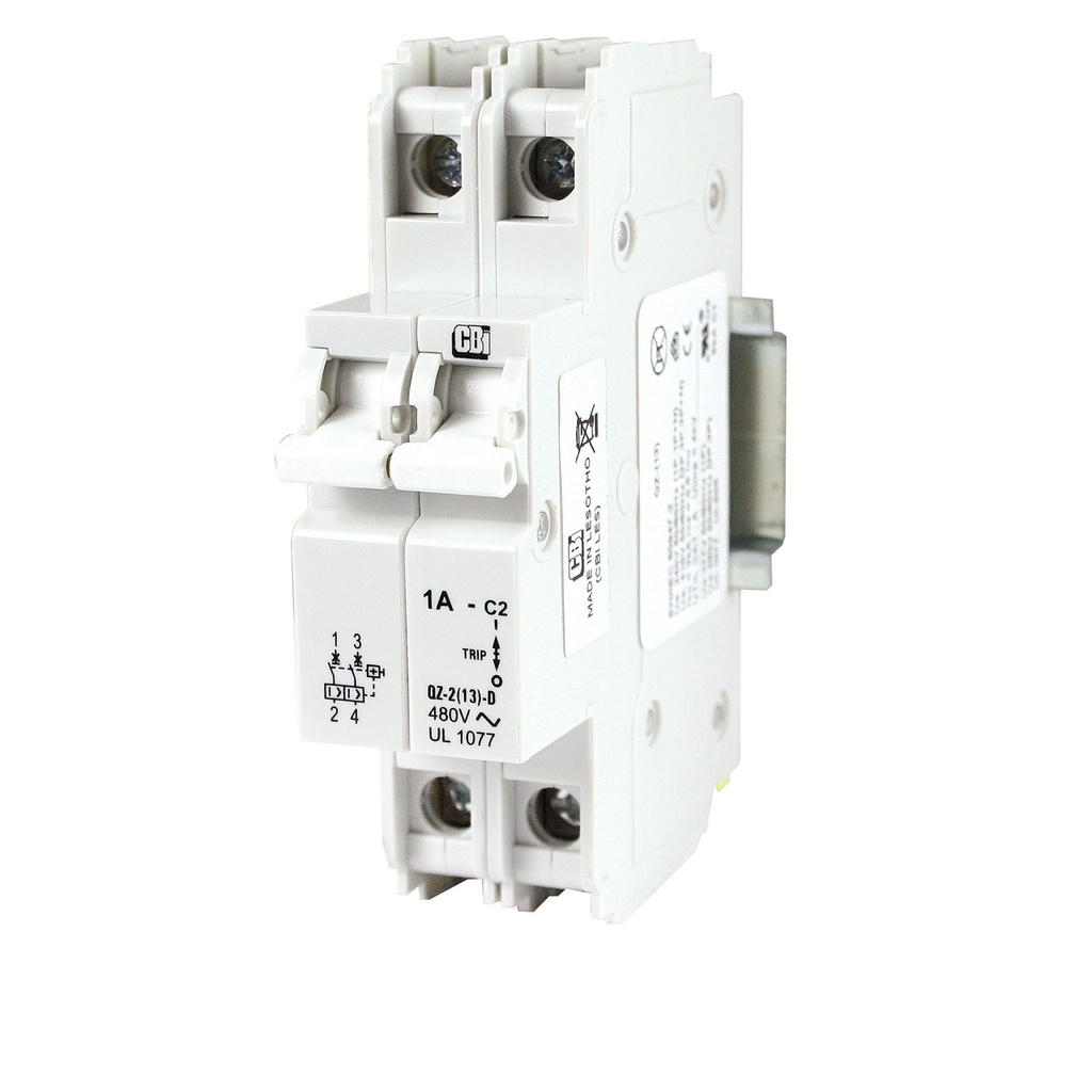 1 Amp, 2 Pole, 277/480 V AC, Trip Curve: C, DIN Rail Mount, UL 1077