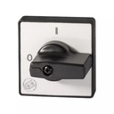 On-Off Cam Switch Handle, Black Knob, Gray Plate