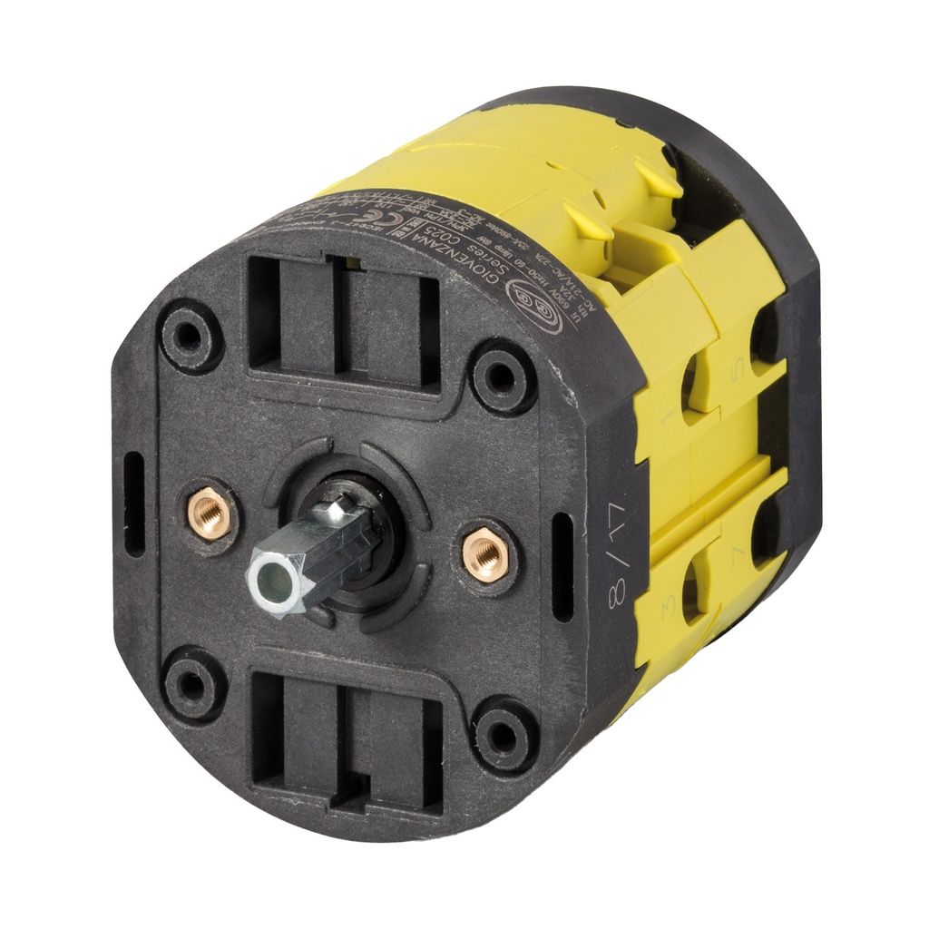 Rotary Cam Switch, 2 Position, On-Off, Load Break Switch, 2 Pole, 25A, 600Vac, Rear Panel, Door Mount