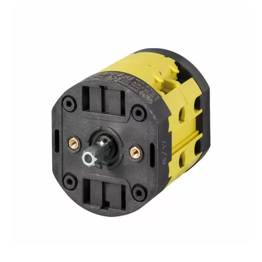 40 Amp Rotary Cam Switch, 2 Position, On-Off, Load Break Switch, 2 Pole, 600V AC, Rear Panel, Door Mount