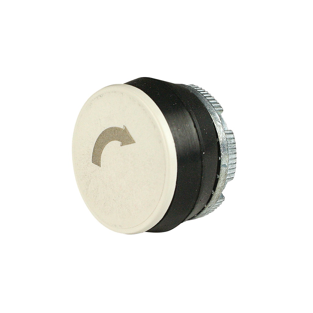 Clockwise Arrow, Pendant Station Push Button, 22mm, Momentary, White