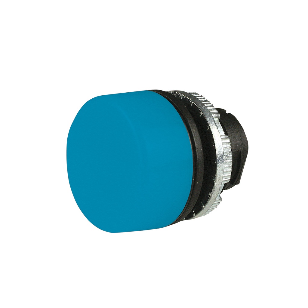 Pendant Station Replacement Blue Lens Cap, 22mm, ASI