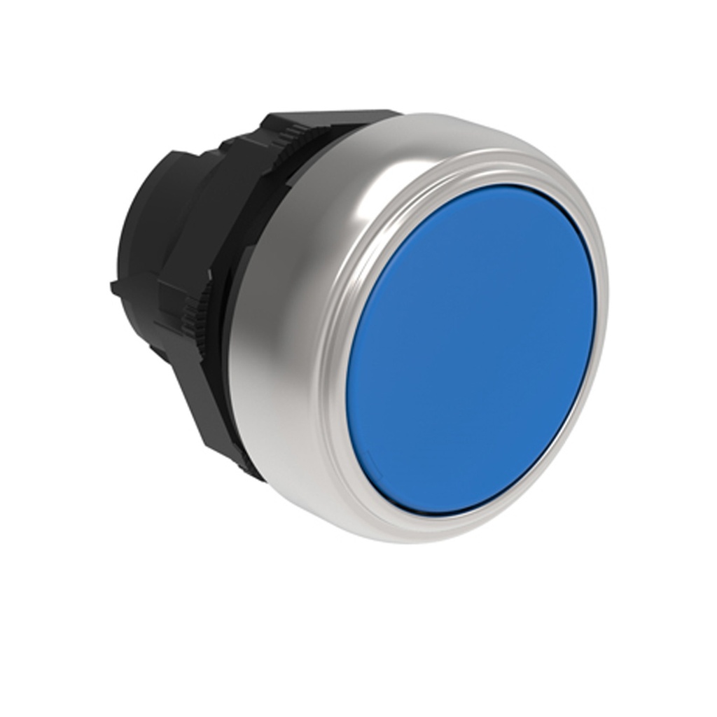 Blue Push Button, Momentary, Flush Mount,  22 mm