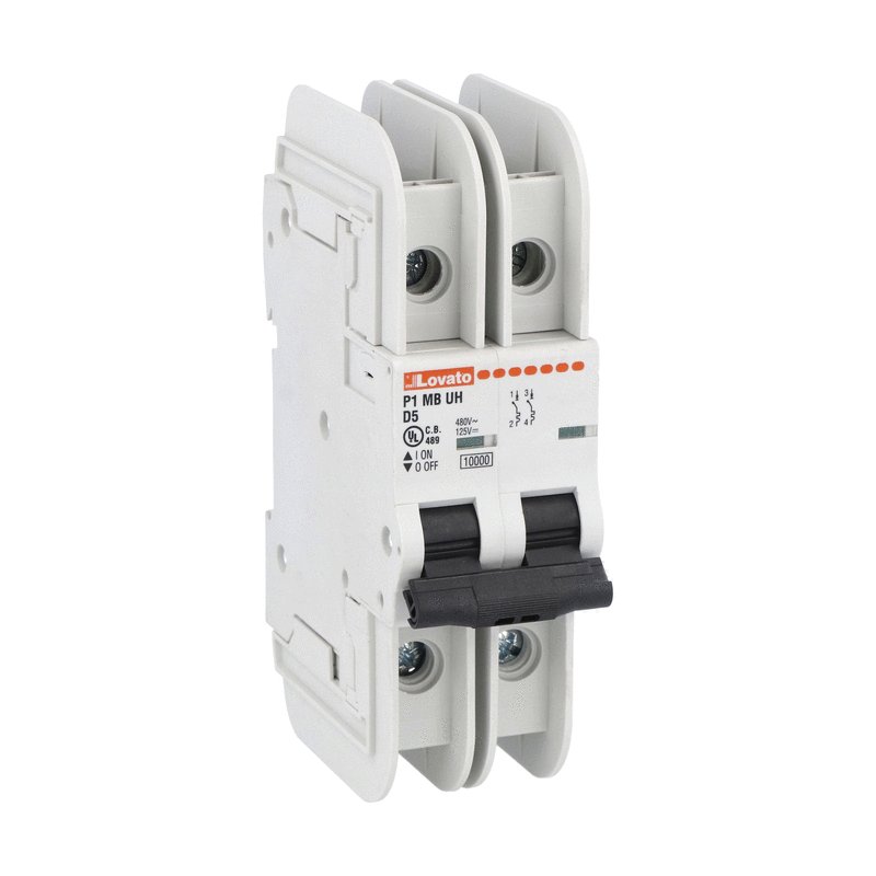 6 Amp, 2 Pole Miniature Circuit Breaker, D Trip Curve